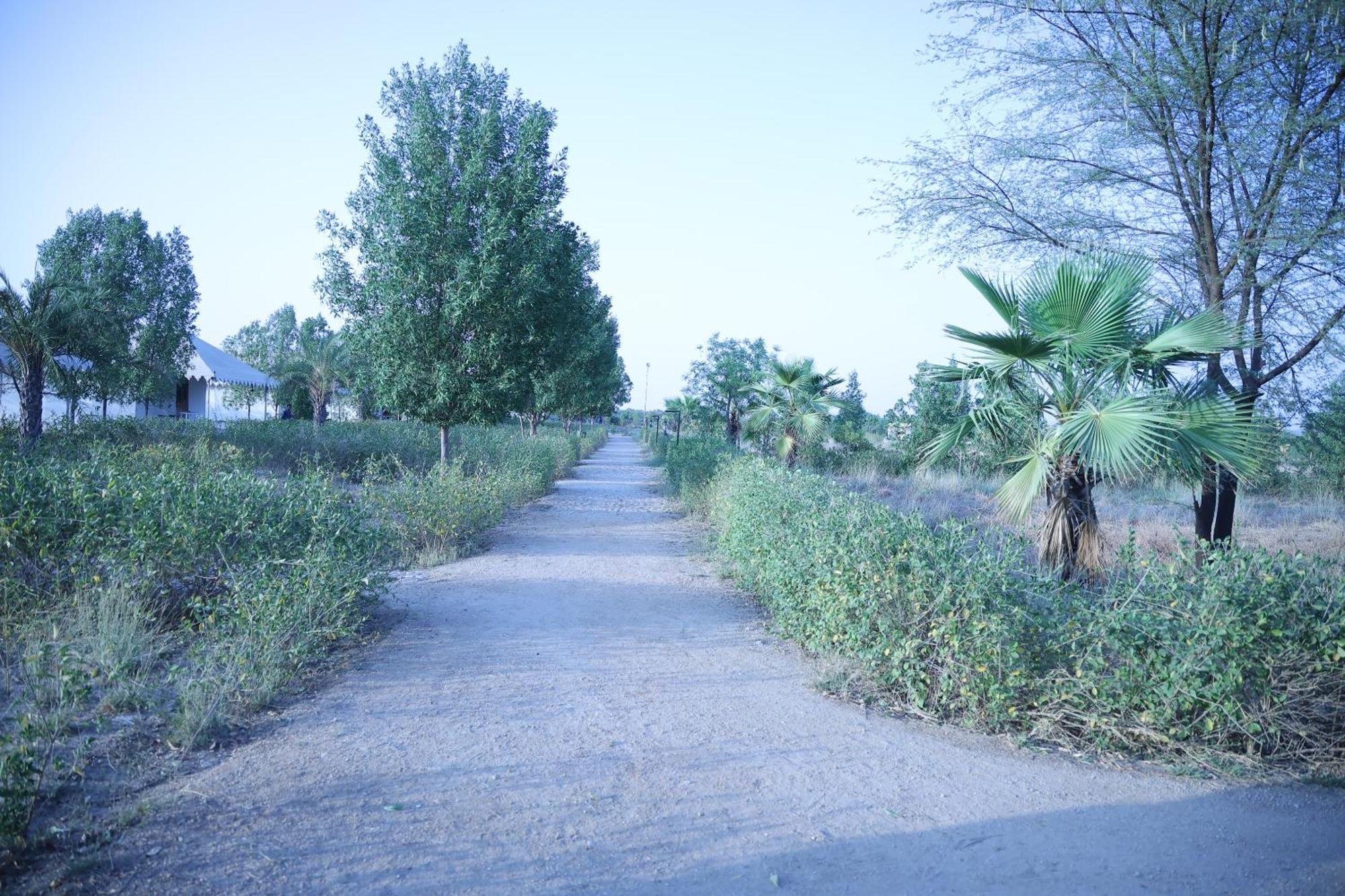 Jawai Bera Leopard Camp Hotel Bagian luar foto