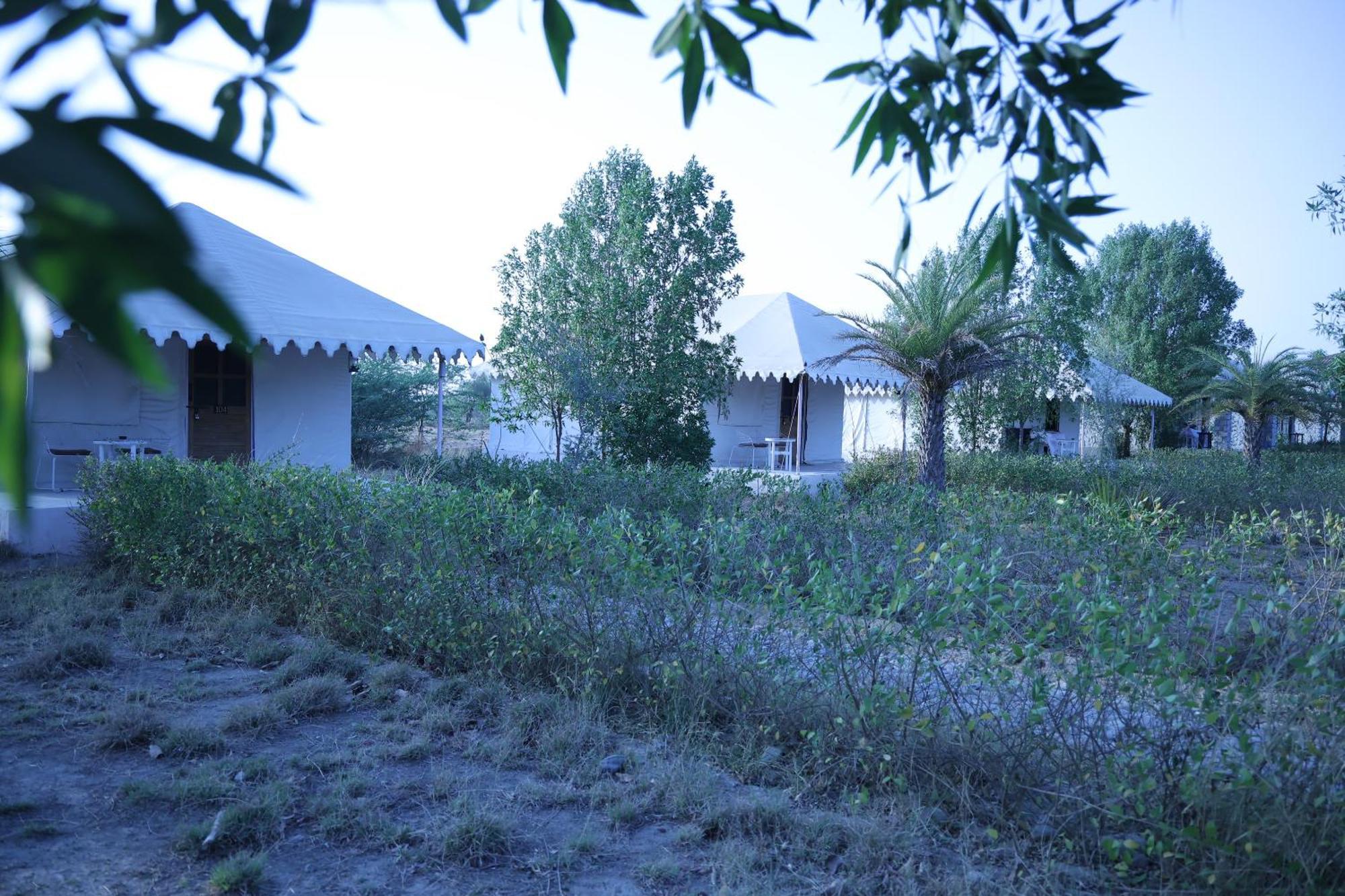 Jawai Bera Leopard Camp Hotel Bagian luar foto