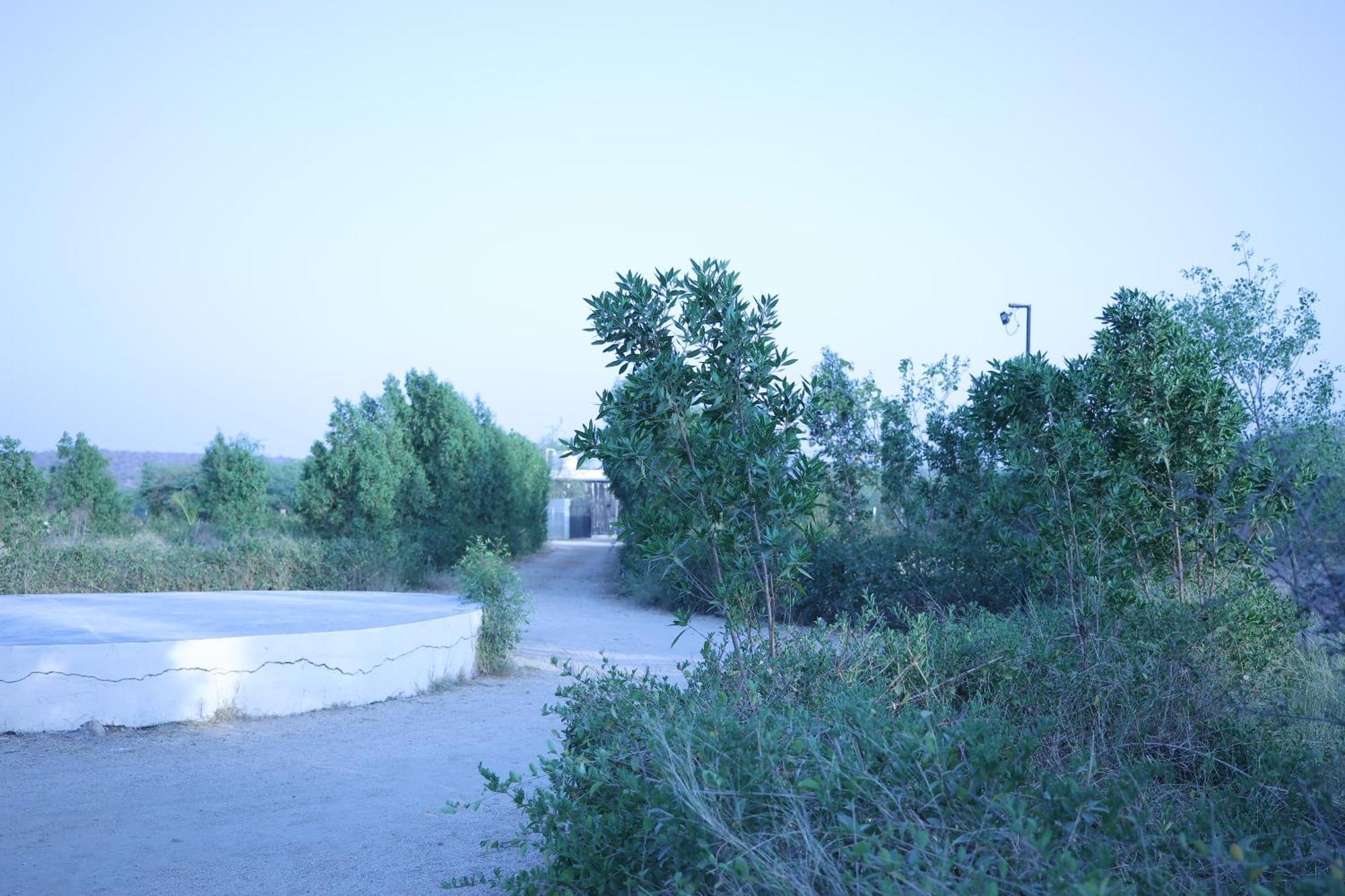 Jawai Bera Leopard Camp Hotel Bagian luar foto