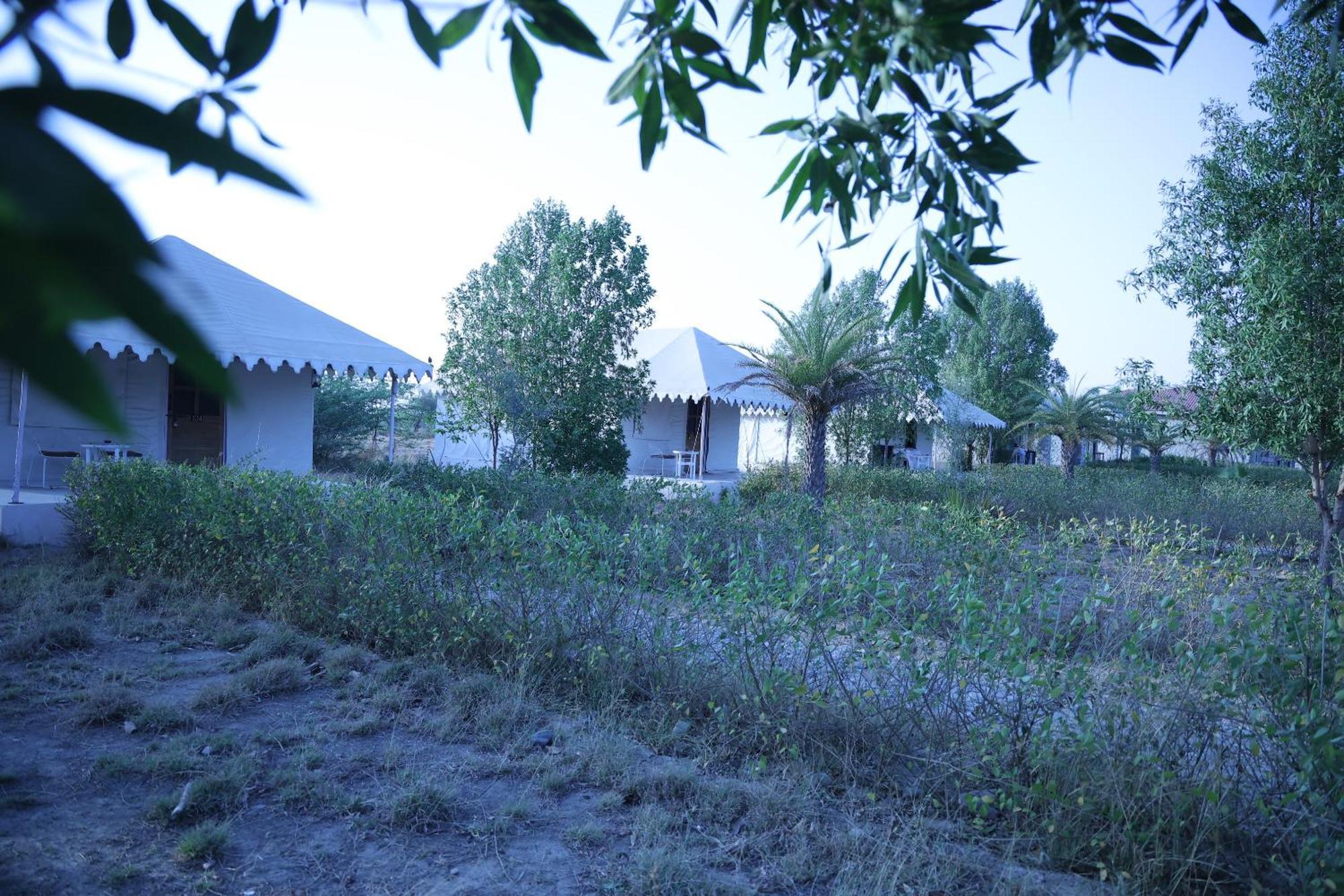 Jawai Bera Leopard Camp Hotel Bagian luar foto