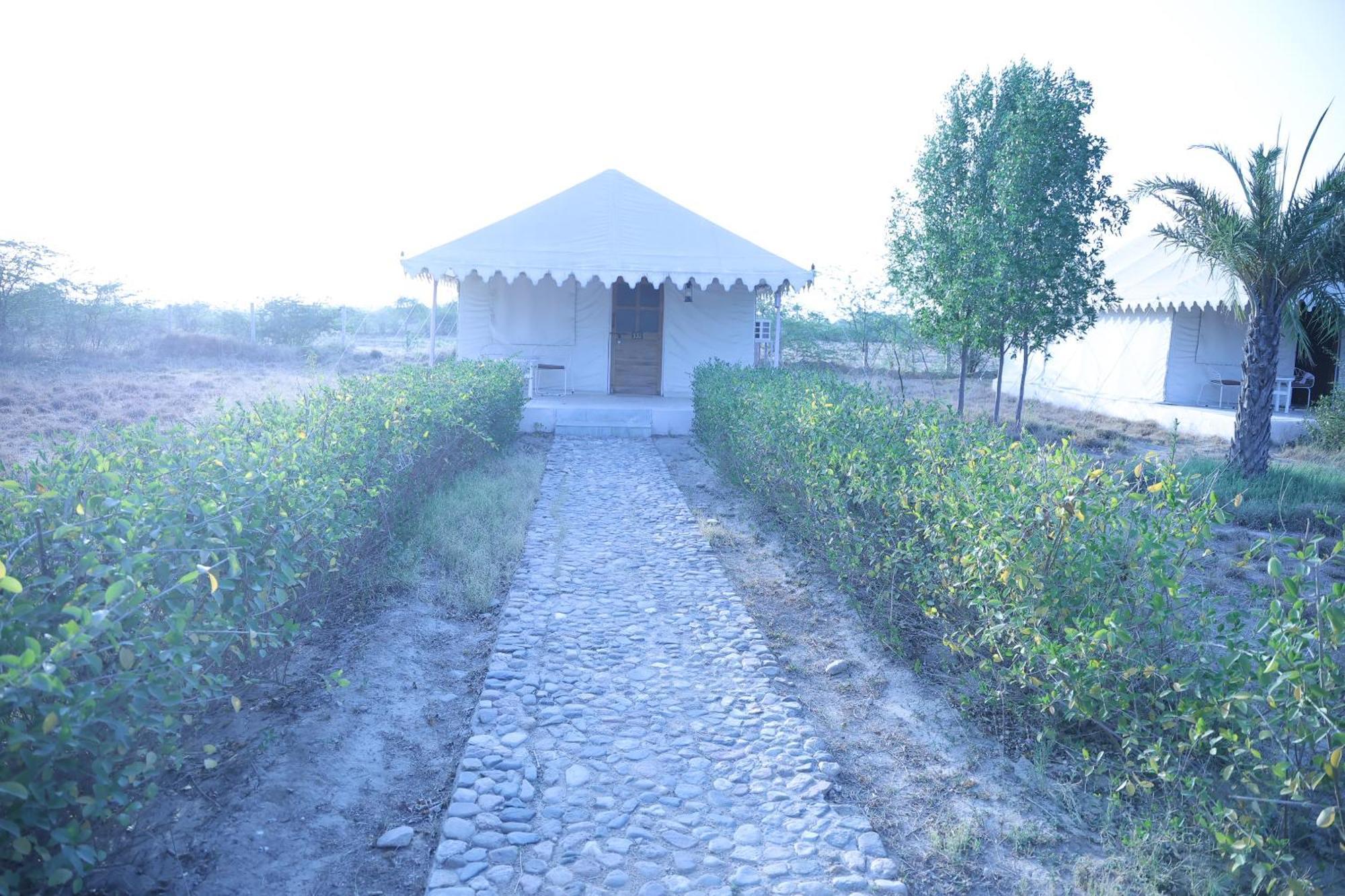 Jawai Bera Leopard Camp Hotel Bagian luar foto